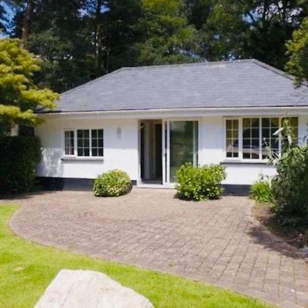 Chadham Pines Cottage Poole Ngoại thất bức ảnh