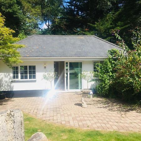Chadham Pines Cottage Poole Ngoại thất bức ảnh